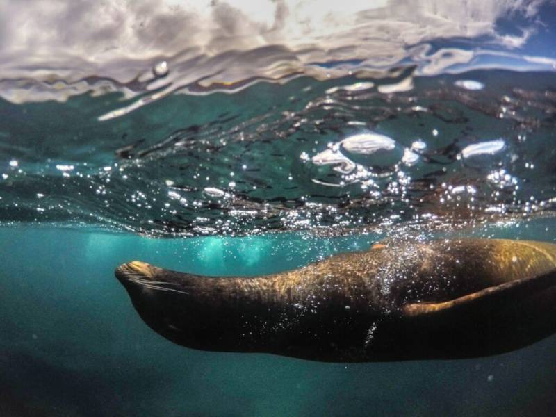 Maravillas de Ecuador y Galápagos 2026